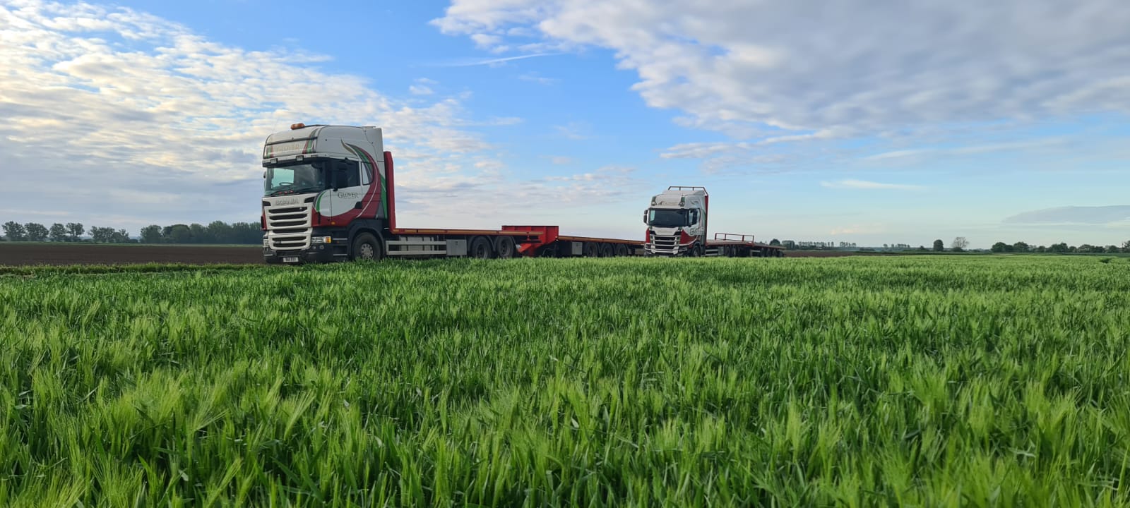 Two Glover lorries parked by the side next to fields